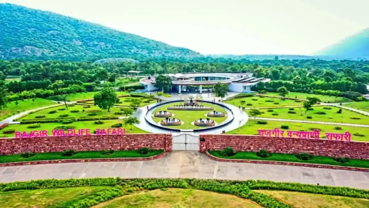 Rajgir wildlife safari